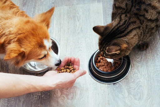 Cap Expand Partners unnamed How Cap Expand Partners Helps Pet Food Businesses Articles Pet Food Businesses  